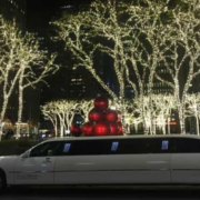 10 passenger limo Newtown PA