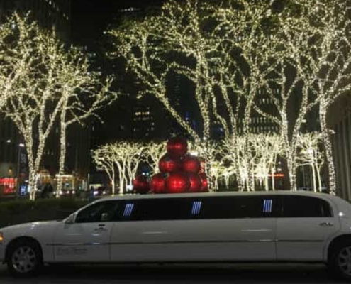 10 passenger limo Newtown PA