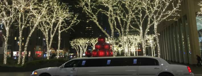 10 passenger limo Newtown PA